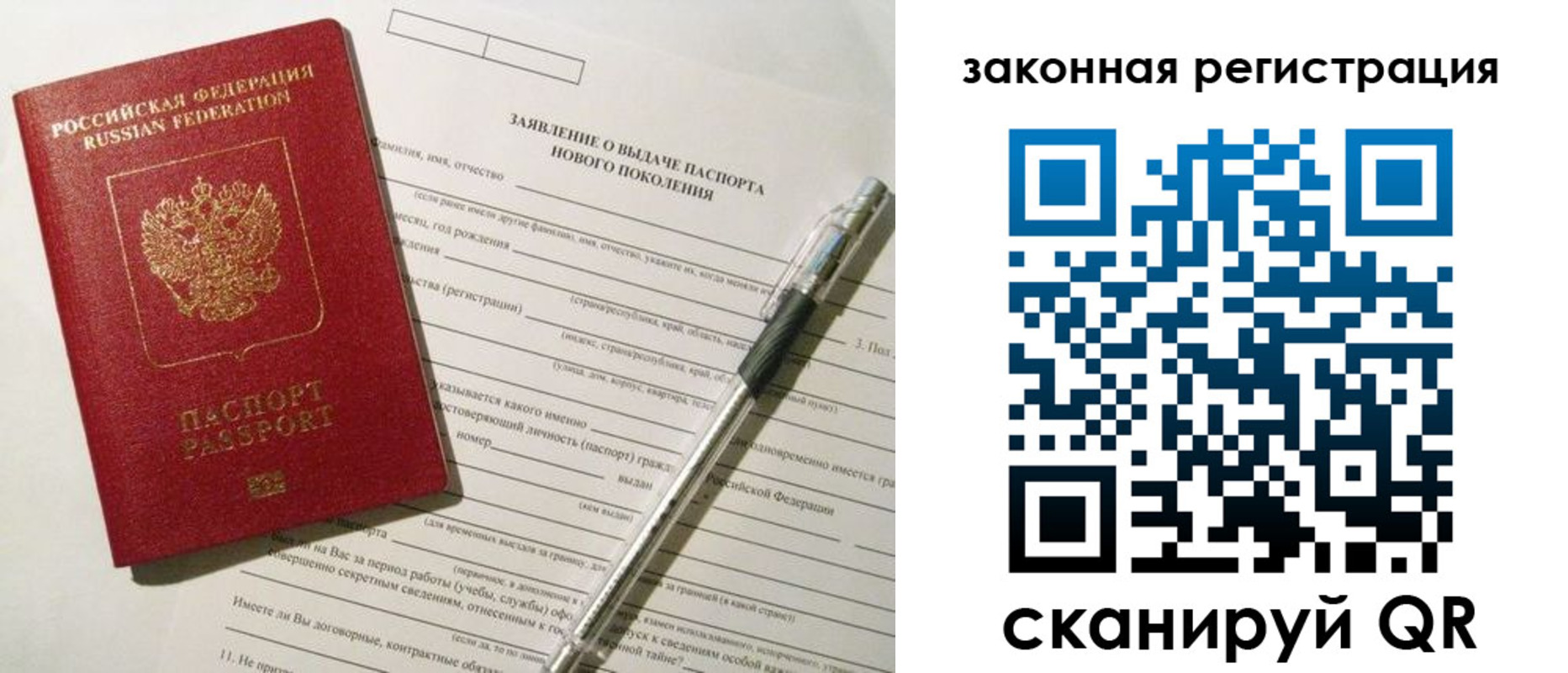 прописка поиск в Камышине
